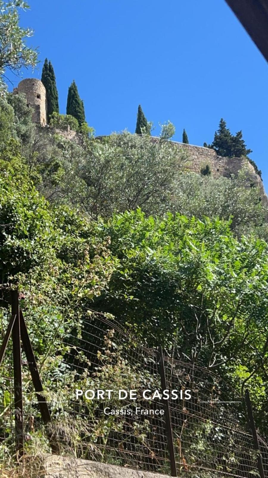 50m De La Grande Cassis